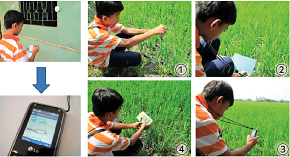 写真３	子供たちが「センサー」として活躍。自宅で気温と湿度を測定し携帯で送信（左の上下）。４枚の組写真は左上から時計まわりに、①「草丈の測定」、②「虫見板での観察」、③「特異な状態があれば撮影」、④「葉色板で観察」
