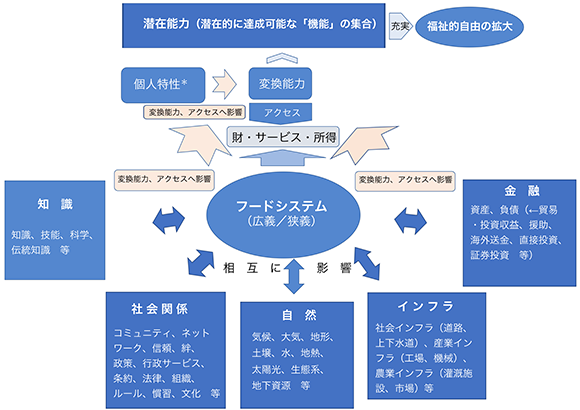 図１　人の潜在能力とフードシステムの関係（概念図）