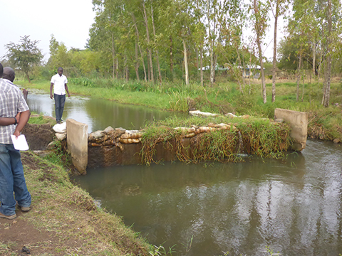 写真３　サウスウエストカノ灌漑地区の水路