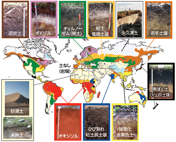 図１　世界の土壌図
