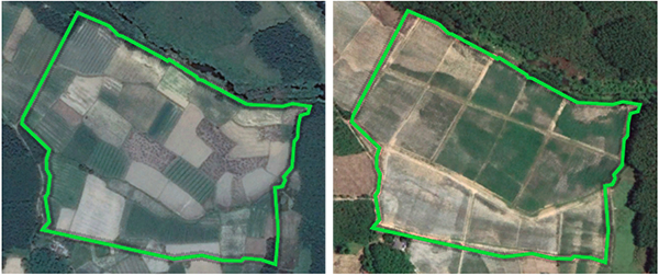 写真１　農地の集約化（左：実施前、右：実施後）