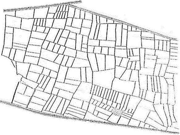 図２　ある程度一定間隔の道路・水路の整備（タイ）