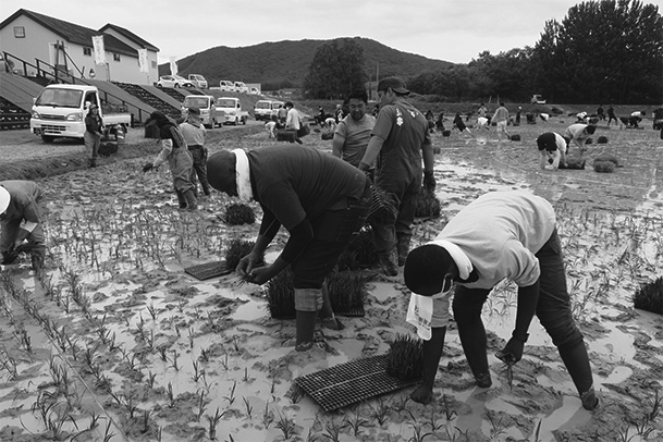 写真１　田んぼアート田植えに参加する研修員