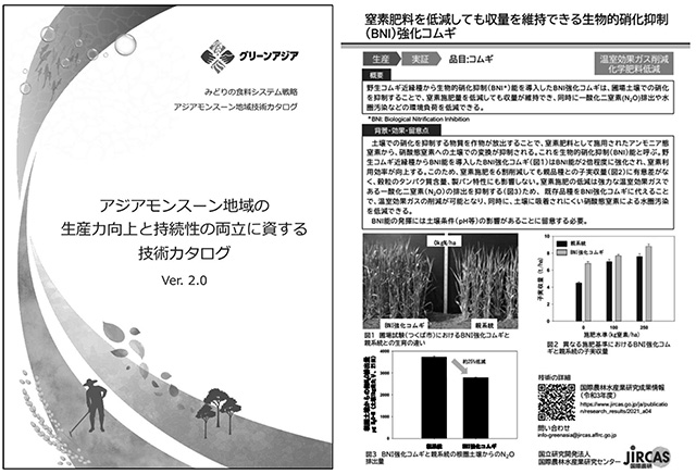 図３　アジアモンスーン地域向け技術カタログ（左）とBNI強化コムギ技術（右）