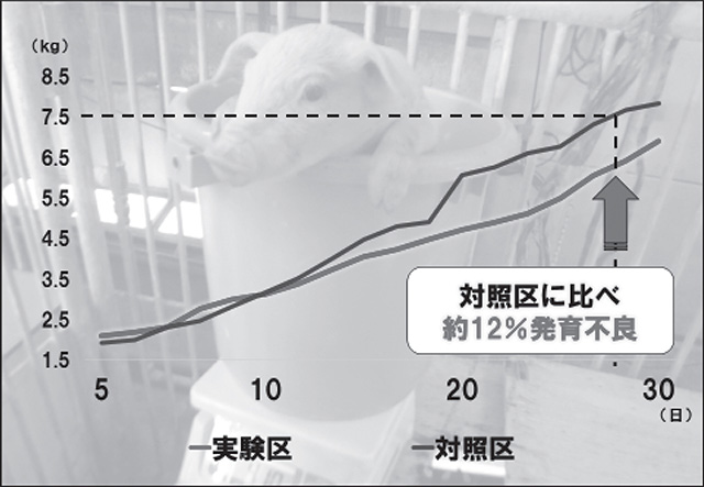 図１　市販飼料との比較実験