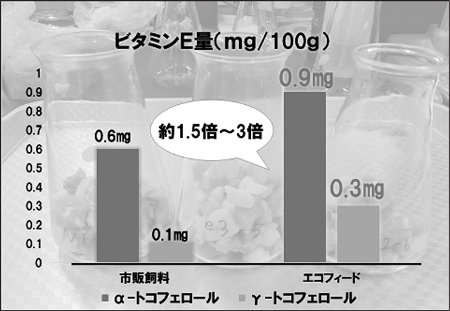 図３　肉質調査